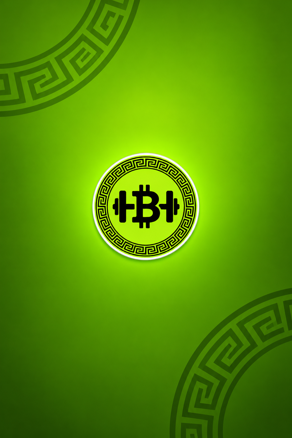 Bitfit project preview